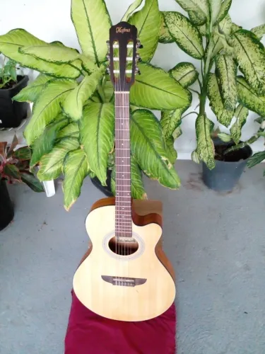 Violao seminovo