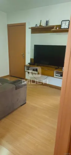 Apartamento - GRAND VILLE