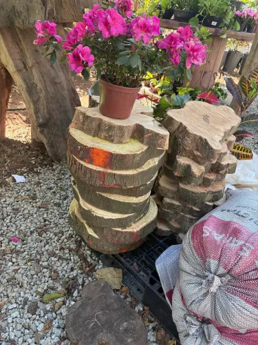 Pisada de madeira para jardim