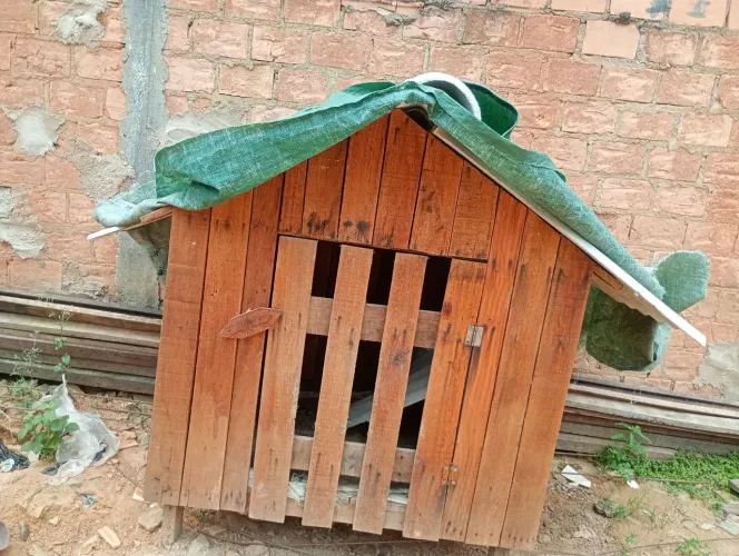 Vende- ser casinha de cachorro