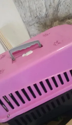 Caixa transporte para cães ou gatos