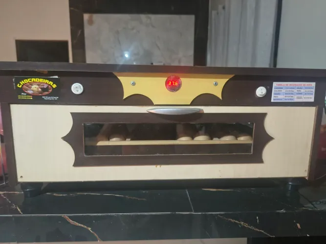 Chocadeira 120 ovos