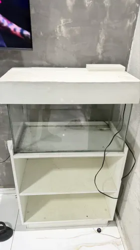 aquario 60 litros