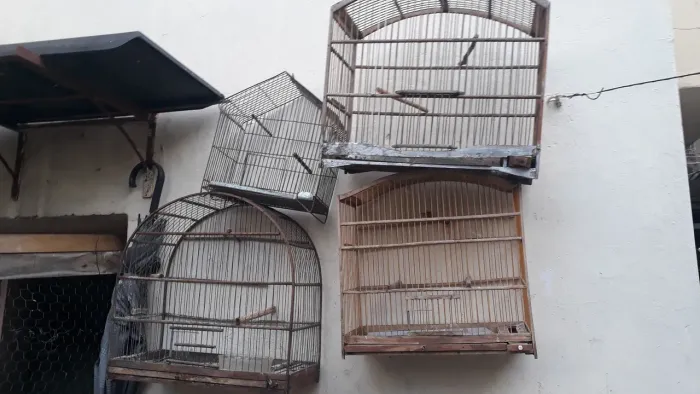 Vendo gaiolas muito boas. Baratas