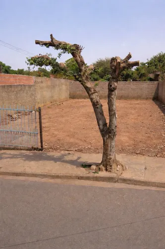 Vendo terreno em buritama ótima localização