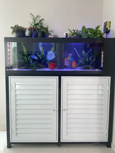 Aquário 300 Litros - Discos