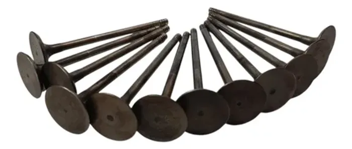 Kit Válvula Admissão Bmw Série 3 E46 328i 1998 - 2002