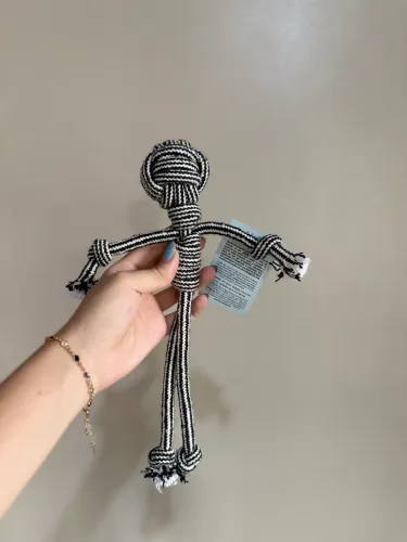 Brinquedo de corda pet 