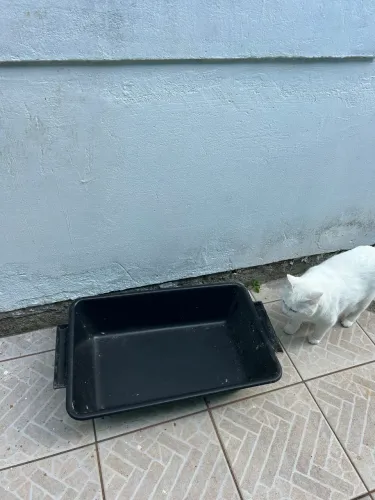 Doação