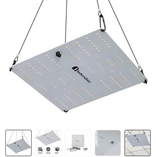 LED Quantum Board Leds Indoor QB60 Watts Ledestar para Cultivo Indoor