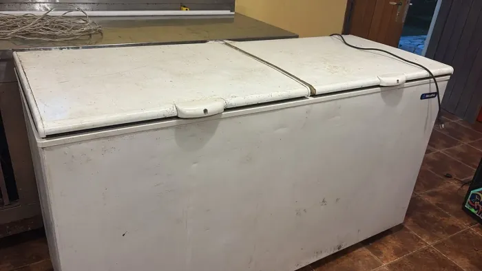 Freezer horizontal