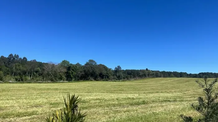 VENDO CHÁCARA ALMIRANTE TAMANDARE - 7 mil m2 com matrícula única.
