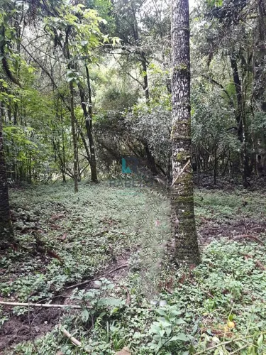 CHÁCARA COM ÁGUA E MATA NATIVA EM MARMELÓPOLIS-MG