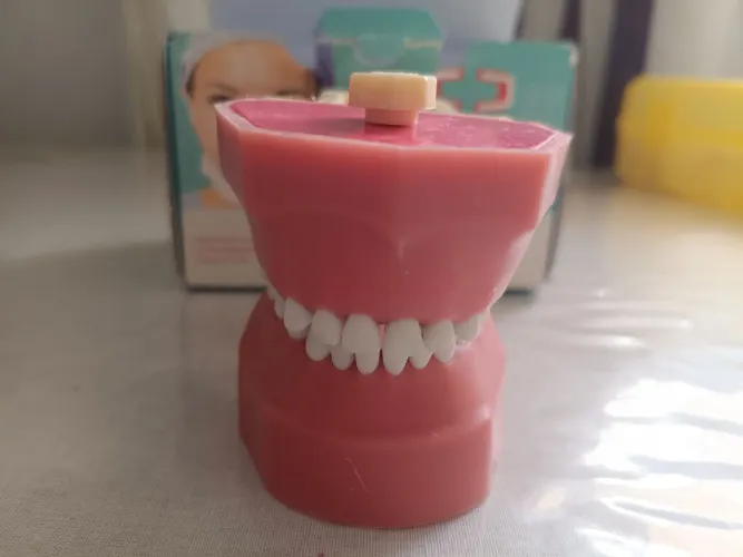 Manequim de pediatria