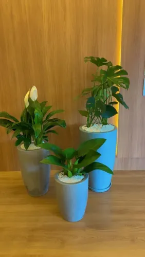 Vasos e jardins