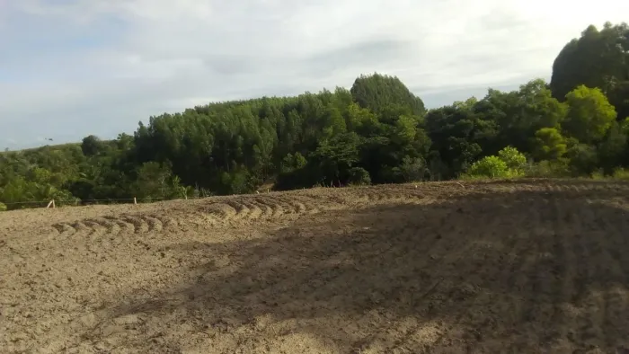 OFERTA IMPERDÍVEL TERRENO EXTREMO SUL DA BAHIA - PAIXÃO