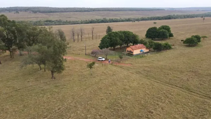 Fazenda- 190 HA- Campo Grande- MS- Saída para Três Lagoas