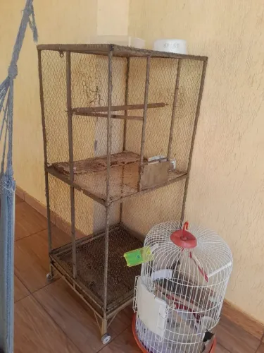 Vendo viveiro e gaiola