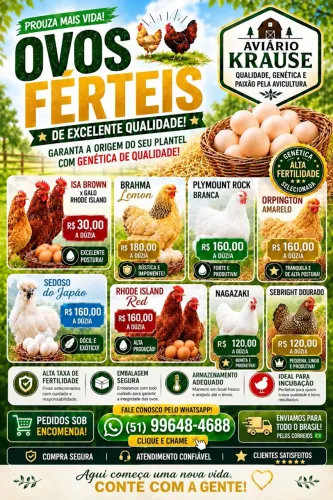 Ovos Férteis