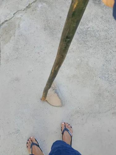Trabalho com capinada quem estiver precisando me avisa para limpar um lote