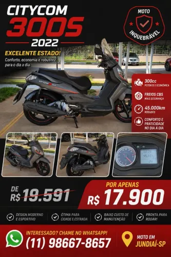 CITYCOM 300S