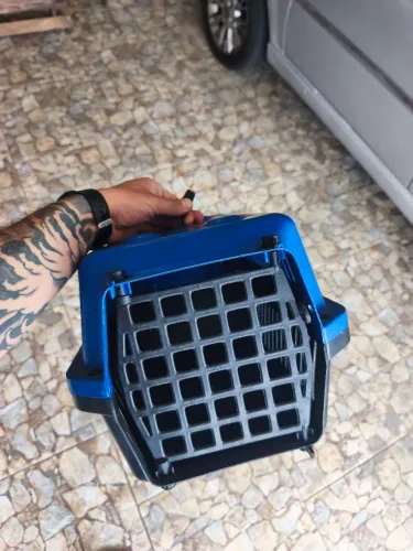 Caixa de Transporte para Cães e Gatos (Pet / Custo-Benefício)