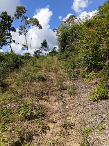 ESPETACULAR 20.150 m2-  terreno NOVA FRIBURGO