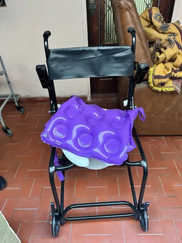 Cadeira De Banho Flex 2x1 Com Braços Eleváveis Prolife