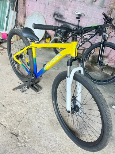 bicicleta 