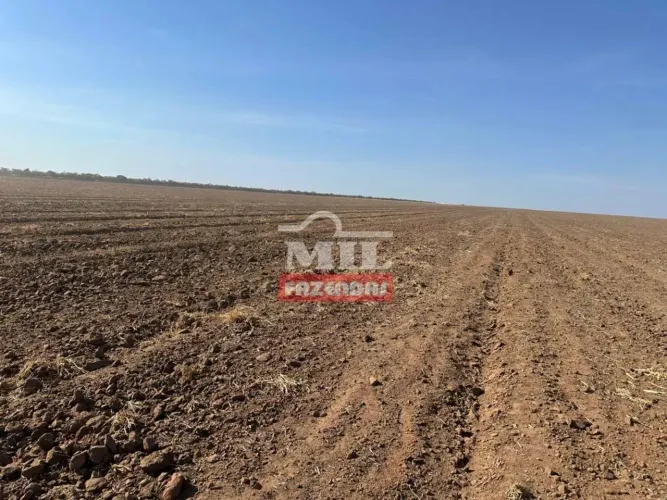 Fazenda 2.618 hectares Bom Jesus - PI