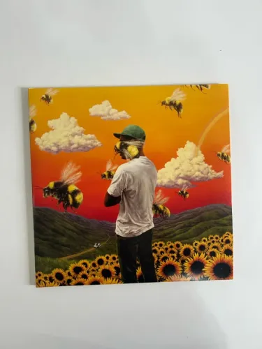 Tyler the Creator Flowerboy Disco de Vinil