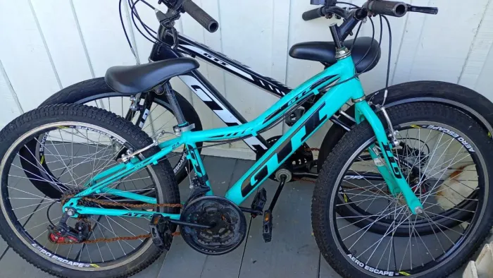 Bicicleta