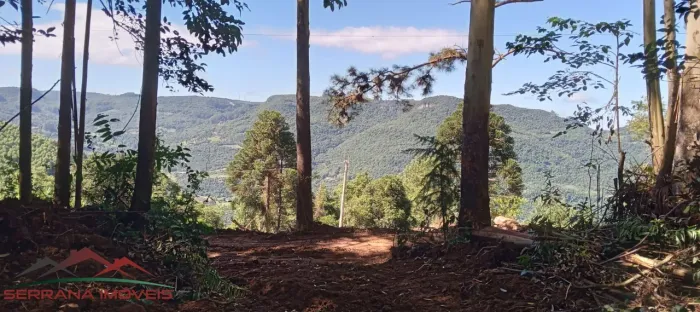 AREA RURAL em Nova Petrópolis - RS, Linha Brasil