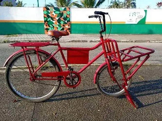 Bicicleta cargueira
