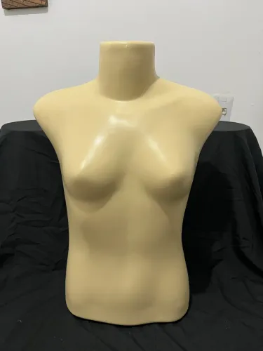 Bustos Femininos