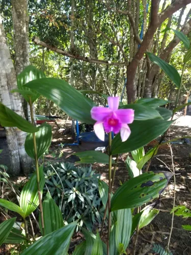 Sítio na Chapada Diamantina!