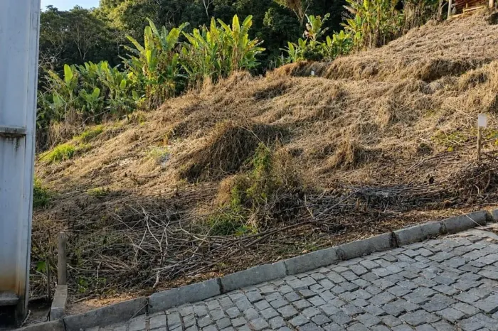 Terreno dos Sonhos em São José do Ribeirão