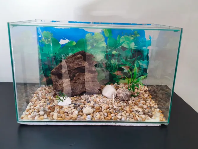 Aquário 23 litros 