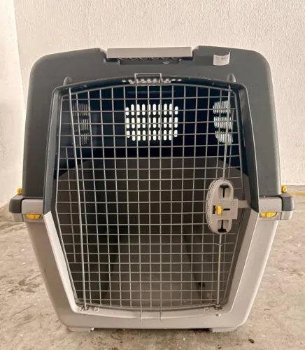 Caixa transportadora de pet grande