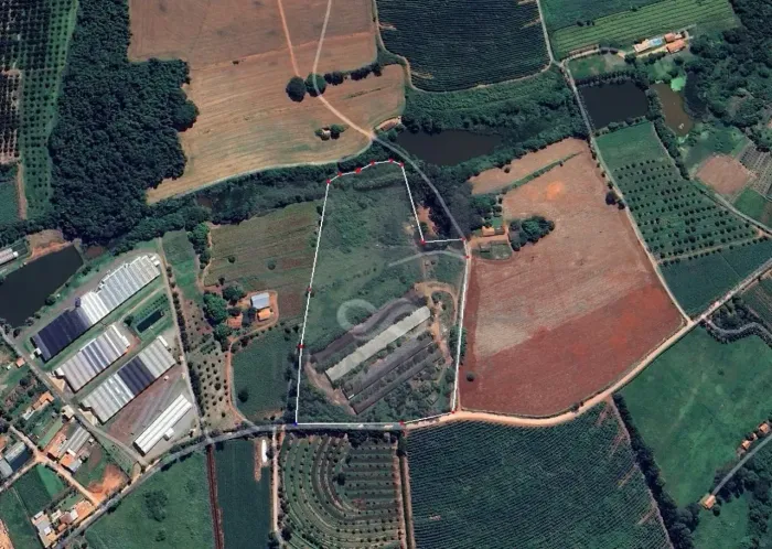 SÍTIO PRODUTIVO À VENDA  GRANJA DE FRANGO INTEGRADA A FRIGORÍFICO!
