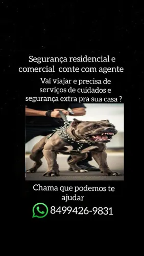 Vigilância e segurança residencial e comercial