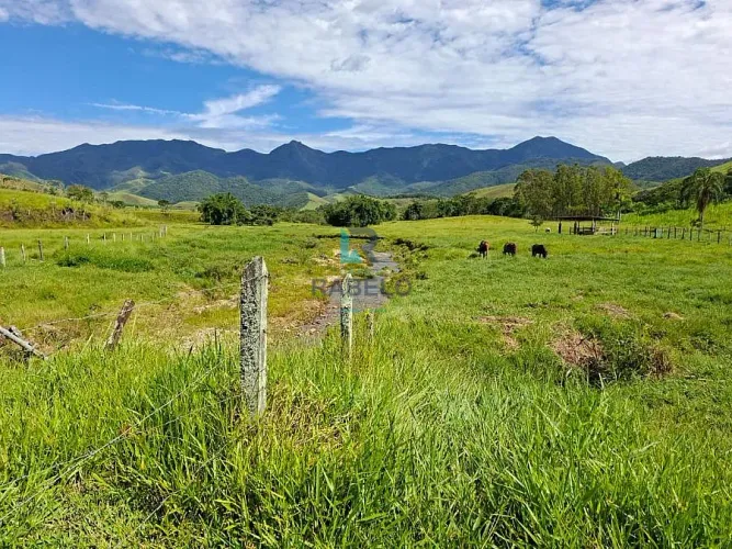 SITIO DE ALTA PRODUTIVIDADE À VENDA EM PIQUETE/SP