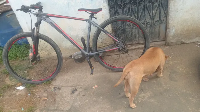 Vende bicicleta groove aro 29