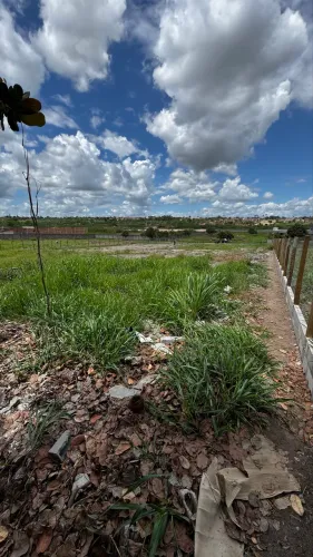 Campo Belo 1 - São Gonçalves Campos