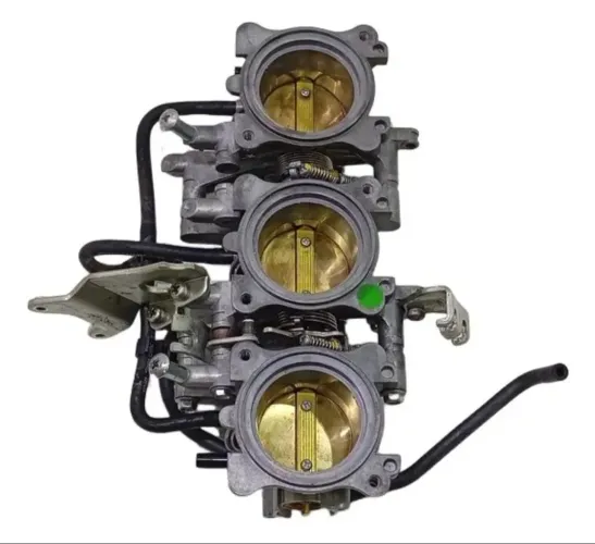 Corpo de borboletas tiger 800 com mangueiras de vacuo com atuador de macha lenta  