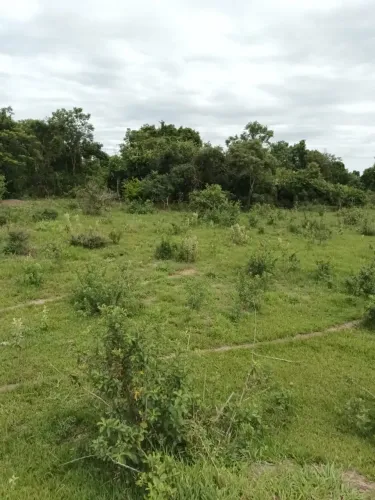 Área localizada em Terenos/ms