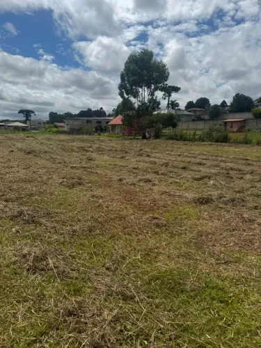 Terreno em campo magro BARATO
