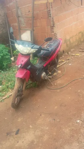 Motinha de leilão rodando para  todo lado