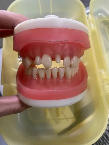 Manequim odontológico