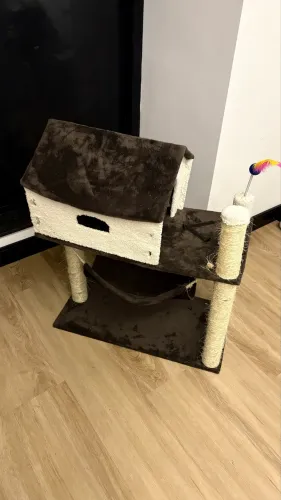 Casinha para gato